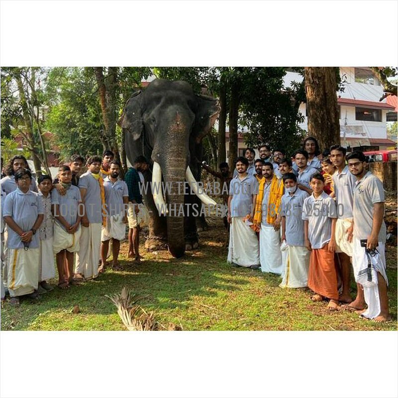 CUSTOMER PHOTOS 123 0119